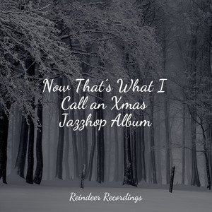 Now That’s What I Call an Xmas Jazzhop Album album