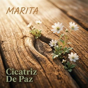 Cicatriz de Paz by Marita
