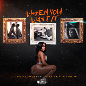 When You Want It by Dj Cheeseburger, Nisha J, Al B Sure Jr.