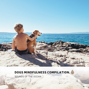 Enthusiastic Water Noise by Yao Zen, Bradley Evan Peace, Relaxing Music Philocalm, Spiritual Yoga, Internal Yoga, Yoga Music Yoga, Yoga Music Spa, Baby Lullaby Philocalm Academy, Baby Sleep, Baby Naptime, Baby Sleep Baby Sounds, Relaxing Zen Music Therapy, Focus & Work, Relax Chillo