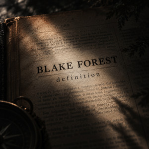 What Am I to You by Blake Forest