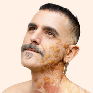 תם ולא נשלם (בעולם הזה) by Ohad Shragai