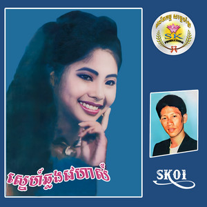 ស្នេហ៍ឆ្លងវេហាស៍