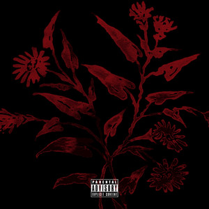 Portada de Runaway
