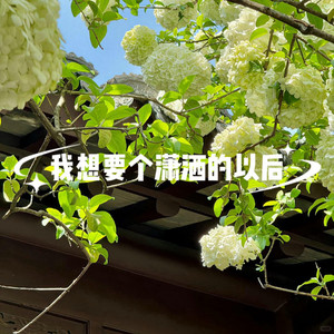 我想要个潇洒的以后 - 对唱版 by 王一佳, 胖球鱼