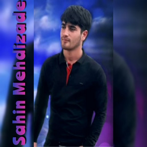 Sahin Mehdizade - Bu Qız