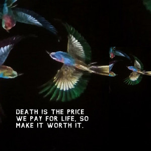 Death Is the Price We Pay for Life, so Make It Worth It.