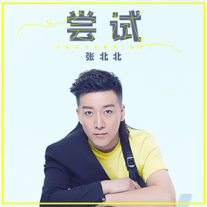 尝试 - 伴奏 by 张北北