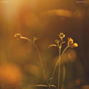 Moments Of Peace by Jack Domoe