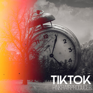 Portada de TikTok