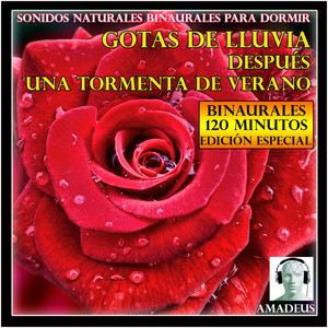 Sonidos de la Naturaleza para Dormir: Fogata en una Playa Con Grillos Nocturnos - Bonus Track by Amadeus