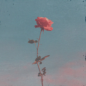 What You Deserve by Miguel Owls
