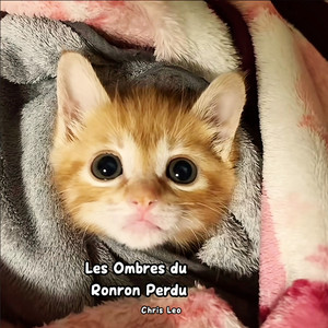 Les Ombres du Ronron Perdu by Chris Leo
