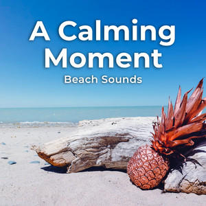 A Calming Moment album