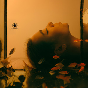 A Quiet Sense of the Sacred