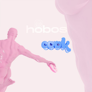 HOBOSS — Cook