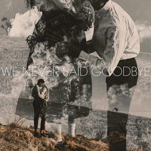 We Never Said Goodbye by Dmitriy Sevostyanov