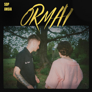 ormai by SDP, ANSIA