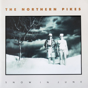 Girl With A Problem by The Northern Pikes