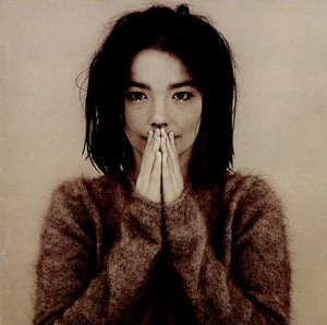 Debut CD 初回限定盤 Björk