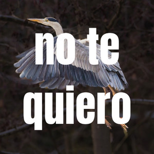 no te quiero by LOKASO