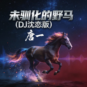 未驯化的野马(DJ沈恋版) by 唐一