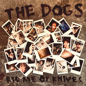 Whatever Your Dreams Are by The Dogs