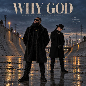 Why_God by Kalculus, Nameless Servant
