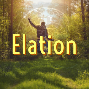 Just Wisdom - Elation