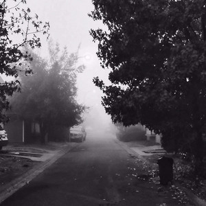 the fog