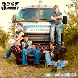 Damned & Wonderful