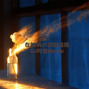 在加纳共和国离婚 - Remix by Firdhaus, 大颖, DJ阿智