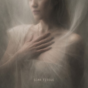 Scar Tissue by Lana Love