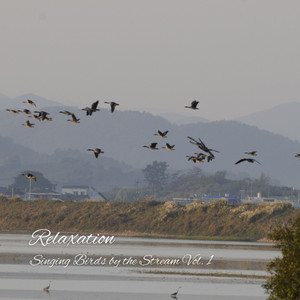 Relaxation: Singing Birds by the Stream Vol. 1 album