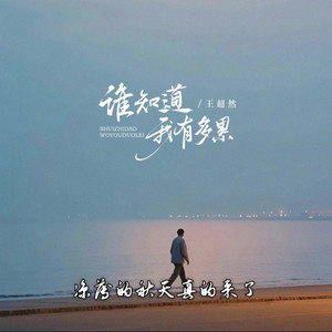 谁知道我有多累 (凉薄的秋天真的来了) by 王超然