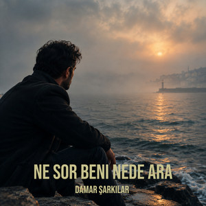 Ne Sor Beni Nede Ara by Damar Şarkılar