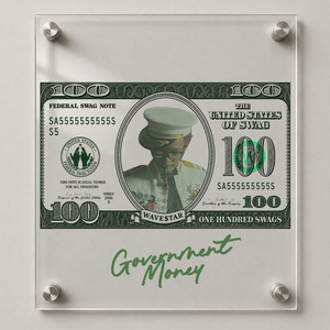 GOVERNMENT MONEY by WAVE$TAR