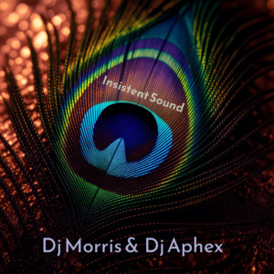 Insistent Sound by Dj Morris, Dj Aphex