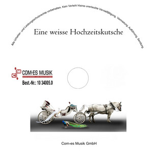 Dich erkenn' ich mit verbundenen Augen - Re-Recording by Bata Illic