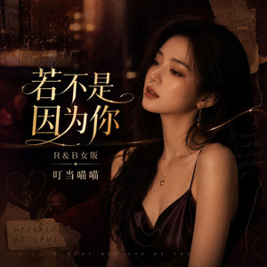 若不是因为你(R&B女版) by 叮当喵喵
