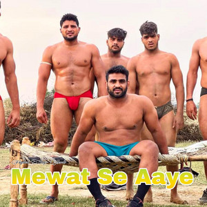 Niyamat Singer Mewati - Mewat Se Aaye