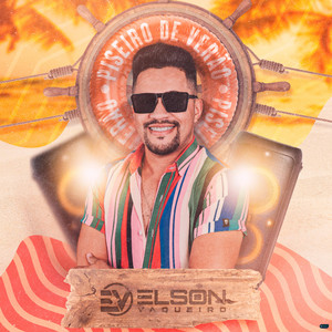 Elson Vaqueiro - Boi Salgadinho