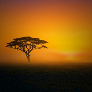 Arise Africa Amapiano (Slowed) by MANSURLINE