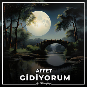 Affet Gidiyorum by Hilmi Çönge