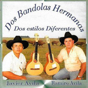 Javier Avila & Ramiro Avila - Pajarillo Cusianero