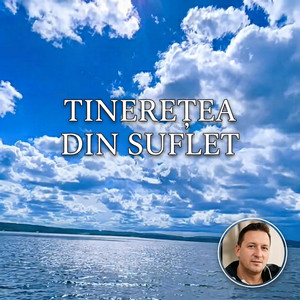 Tinerețea din suflet by Costel Danalache