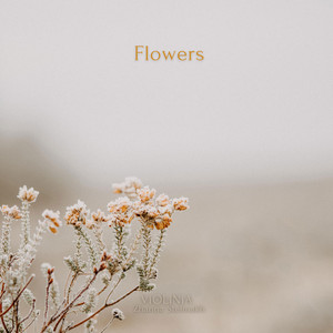 ViOLiNiA Zhanna Stelmakh - Flowers (Piano Version)
