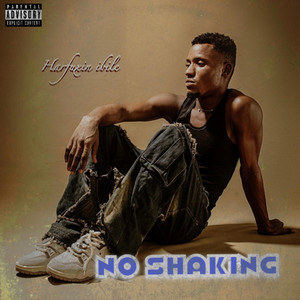 Harfuxin Ibile - No Shaking