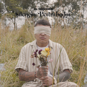 Silencio Perturbador by El Redcode