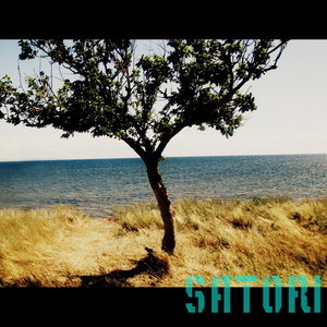 PRHDV — Satori